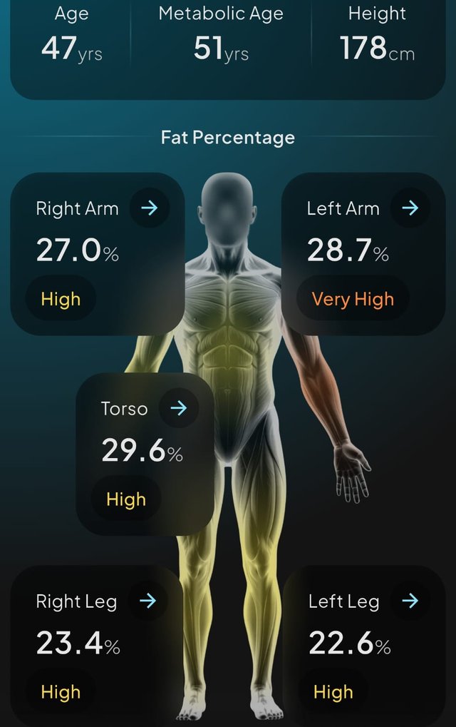Relatório Hume Body Pod: Percentagem de gordura por braço, perna e tronco