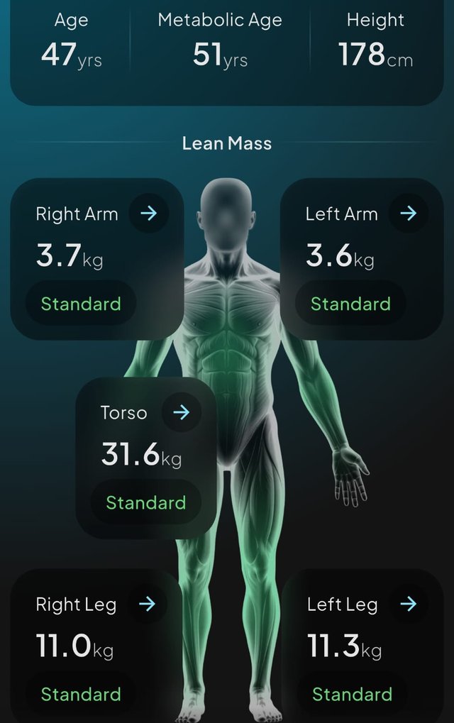 Relatório Hume Body Pod: Massa magra por braço, perna e tronco