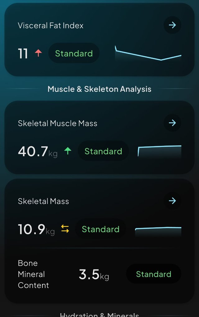 Relatório Hume Body Pod: Gordura visceral, massa muscular esquelética, massa óssea e conteúdo mineral ósseo